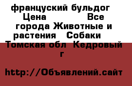 француский бульдог › Цена ­ 40 000 - Все города Животные и растения » Собаки   . Томская обл.,Кедровый г.